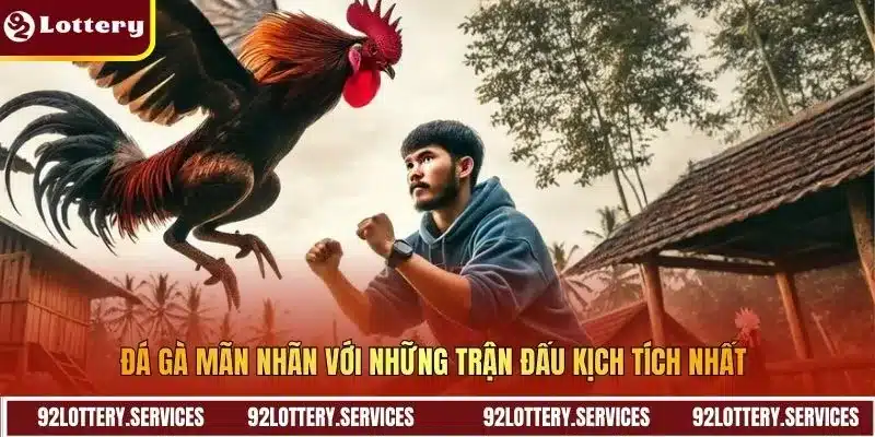 Đá gà mãn nhãn với những trận đấu kịch tích nhất